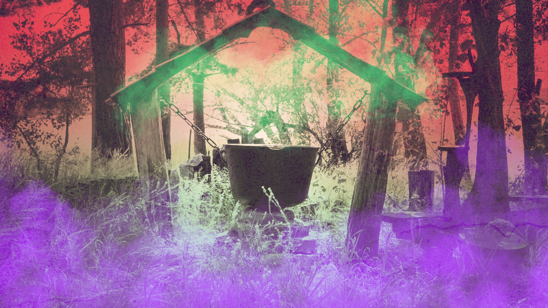 A cauldron in the woods.